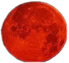 blog of star